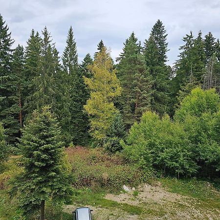 Studio In Borovets Gardens Complex Экстерьер фото