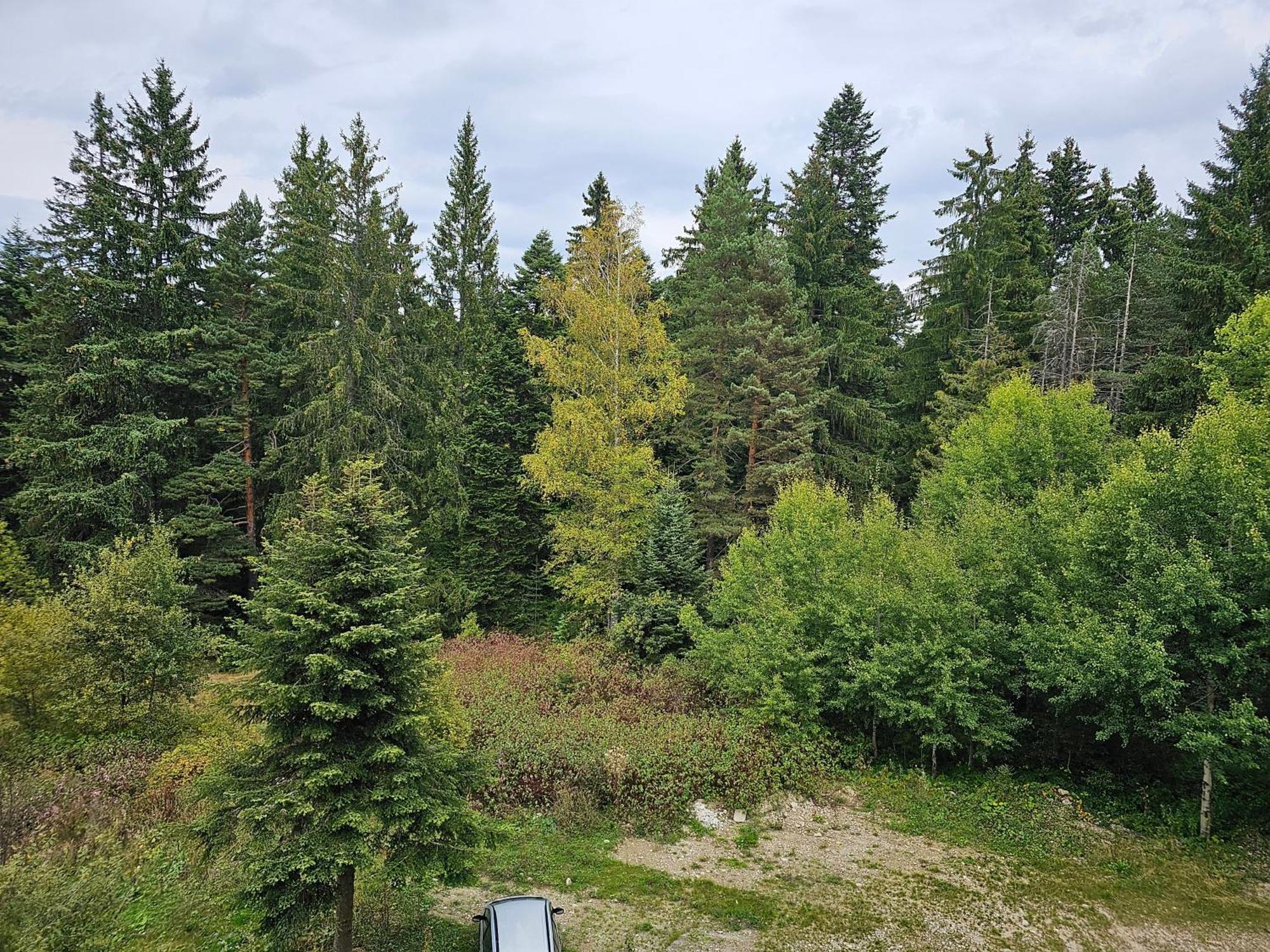 Studio In Borovets Gardens Complex Экстерьер фото